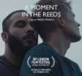 A Moment in the Reeds poster