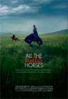 All the Wild Horses poster